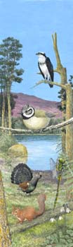 scottish loch