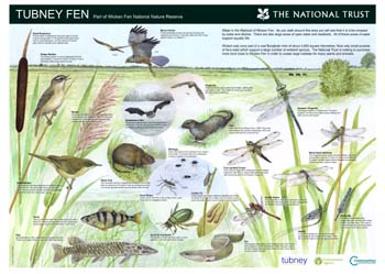 wicken fen board 1