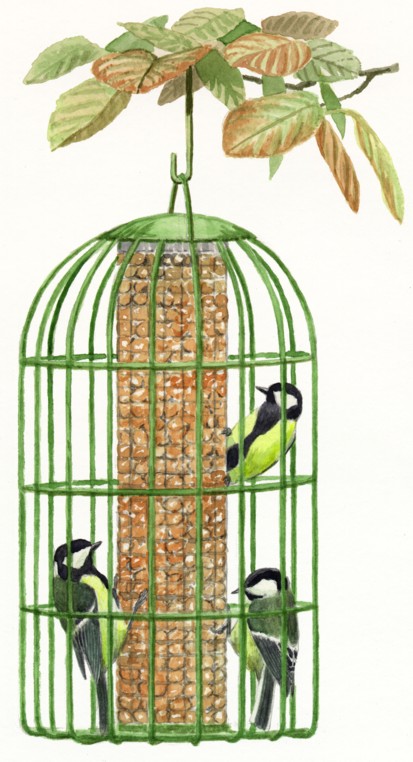 cagefeeder