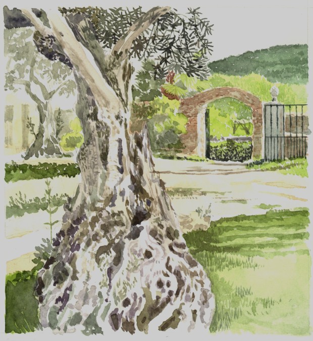 finca santa marta
