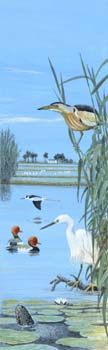 ebro delta