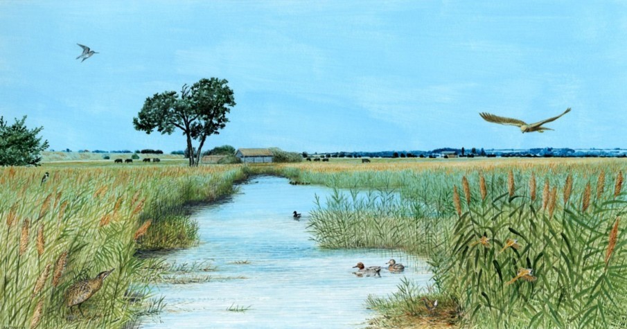 thurlby fen 2