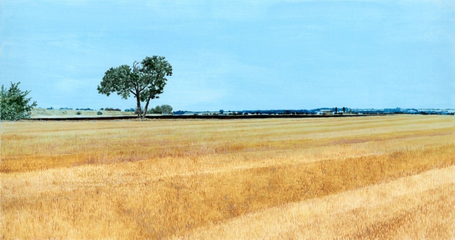 thurlby fen 1