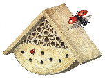 ladybird box - mc wood