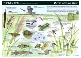 wicken fen board 1