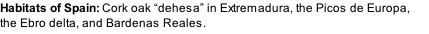 Habitats of Spain: Cork oak “dehesa” in Extremadura, the Picos de Europa, the Ebro delta, and Bardenas Reales.