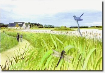 Great Fen Project illustration of proposed visitor centre and wilderness zone by MC Wood