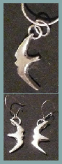 silver birds