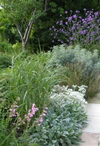 Planting design by MC Wood