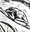 tree frog