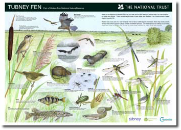 wicken fen board 1