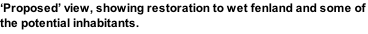 ‘Proposed’ view, showing restoration to wet fenland and some of the potential inhabitants.