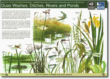 Ouse Washes panel