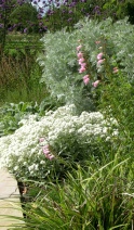 Planting design by MC Wood