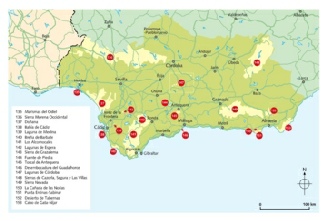 region map