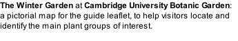 The Winter Garden at Cambridge University Botanic Garden: a pictorial map for the guide leaflet, to help visitors locate and identify the main plant groups of interest.