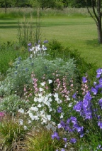 Planting design by MC Wood